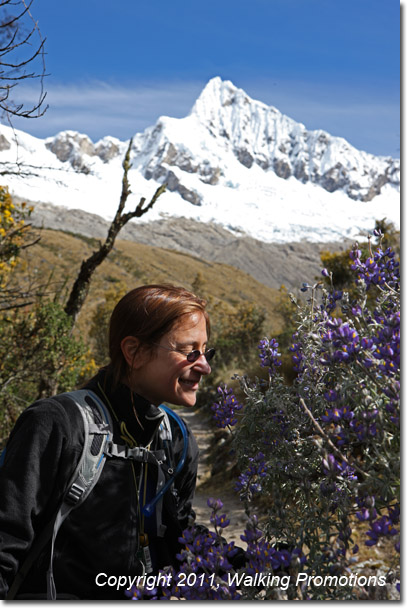 Smelling the flowers in route to XYZ